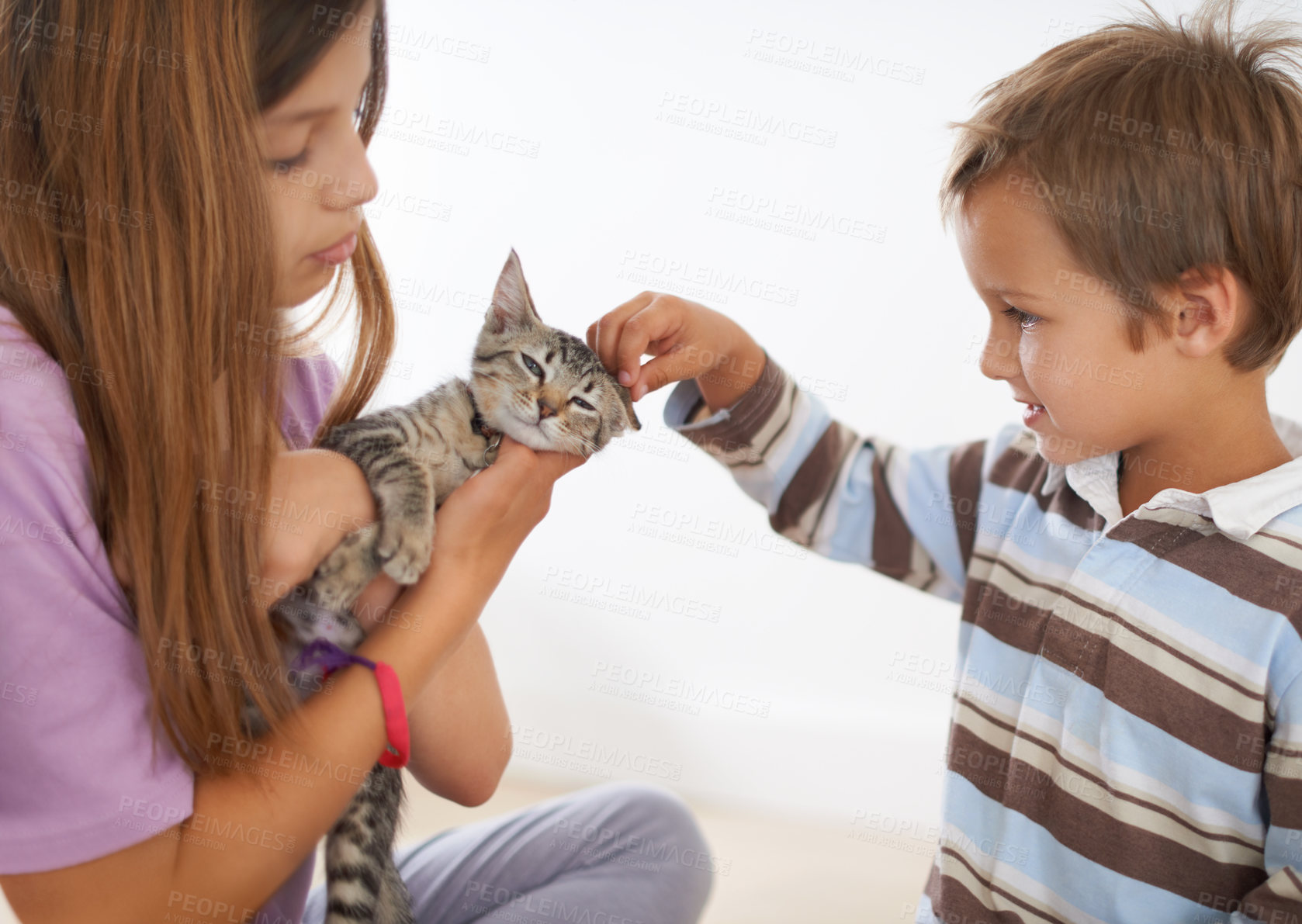 Buy stock photo Siblings, kitten and young boy in family home, scratching and love for small animal. Smile, happy or caring children with domestic cat, pet and rescue companion or adoption for childhood development
