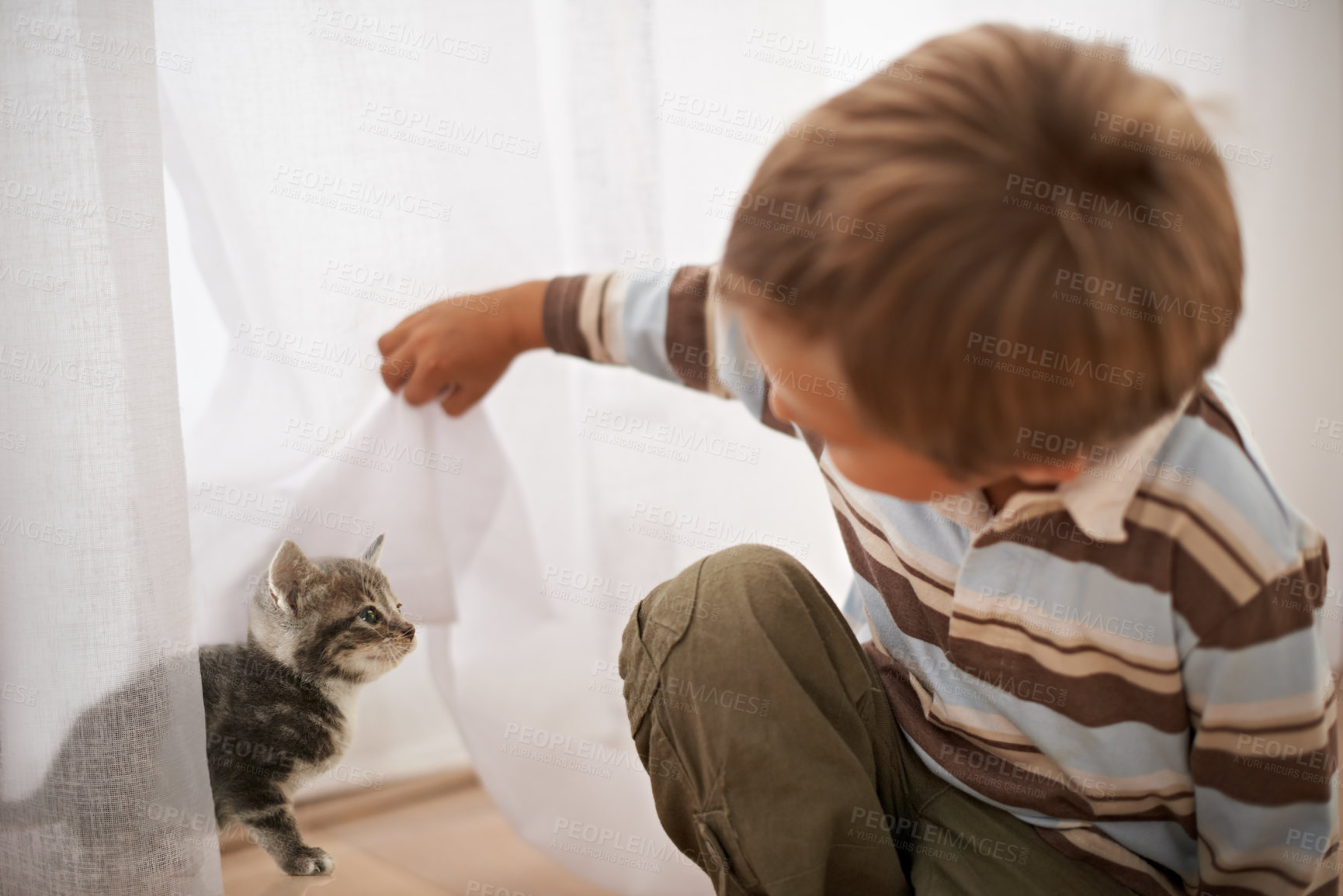 Buy stock photo Playing, happiness and boy with cat in home on weekend, excited and bonding with love for domestic animal. Child, pet kitten and care on vacation, peace and fun for childhood development in house