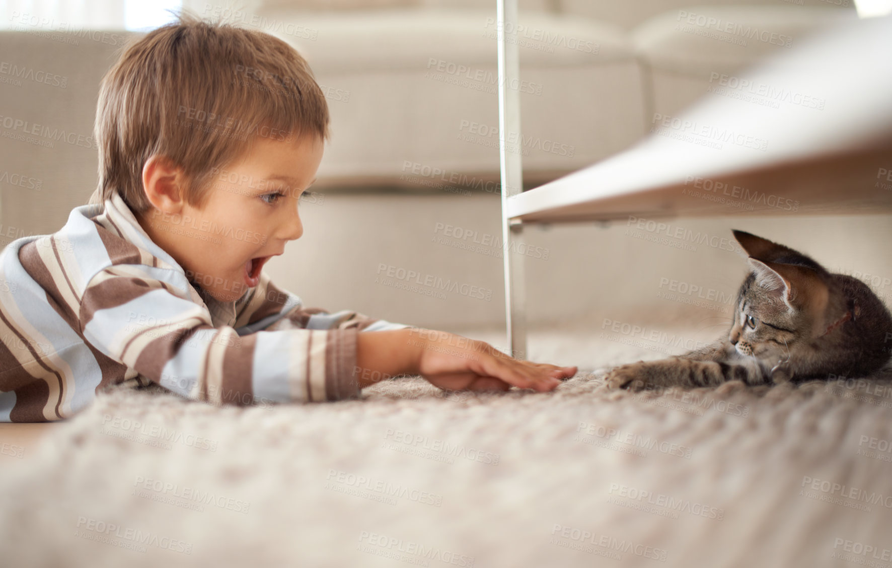 Buy stock photo Excited, playful and a boy with a cat on the floor for playing, meeting and bonding at home. Smile, bedroom and a child looking shocked at a kitten for a game, happiness and petting on the carpet