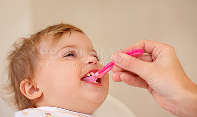 Buy stock photo Baby girl, breakfast and eating for food, nutrition and development with spoon at house, home and living room. Infant, female child and kid happy for feeding, snack and healthy diet for growth