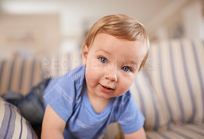 Buy stock photo Toddler, crawling and portrait of baby in sofa or home for fun playing or learning in living room. Energy, boy or face of a curious male kid outside for child development or growth in a house alone