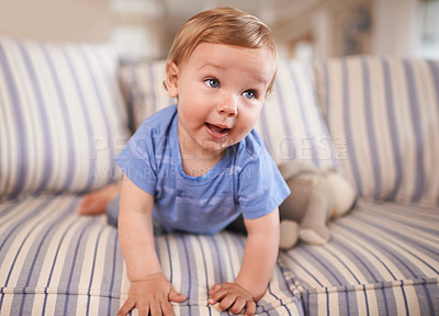 Buy stock photo Playful, crawl or baby on couch in home for playing, growth or fun learning alone in living room. Wellness, cute boy or face of a curious male kid on sofa for child development or crawling in a house