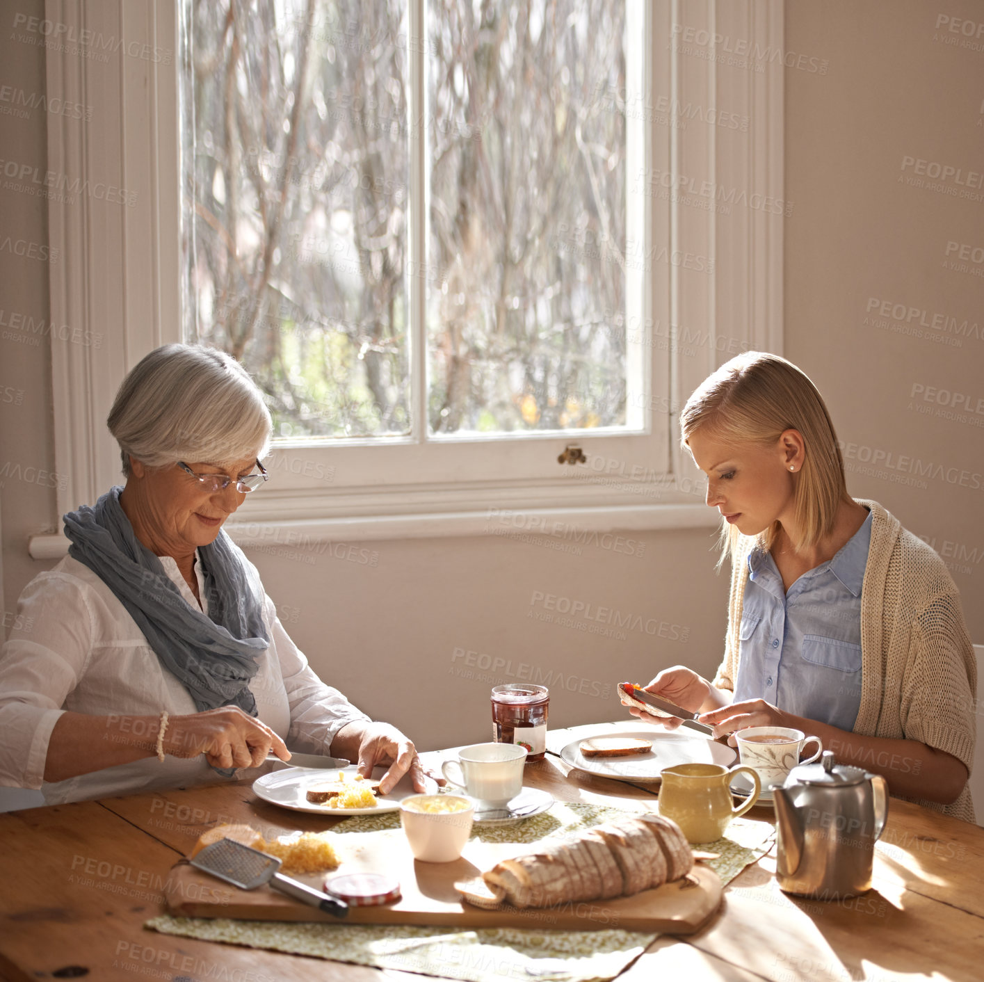 Buy stock photo Cropped shot of an attractive young woman visiting her gran for tea