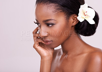 Buy stock photo Black woman, flower and natural beauty with skincare, dermatology and wellness isolated on grey background. Cosmetic care, eco friendly treatment with nature or plant, makeup and organic facial