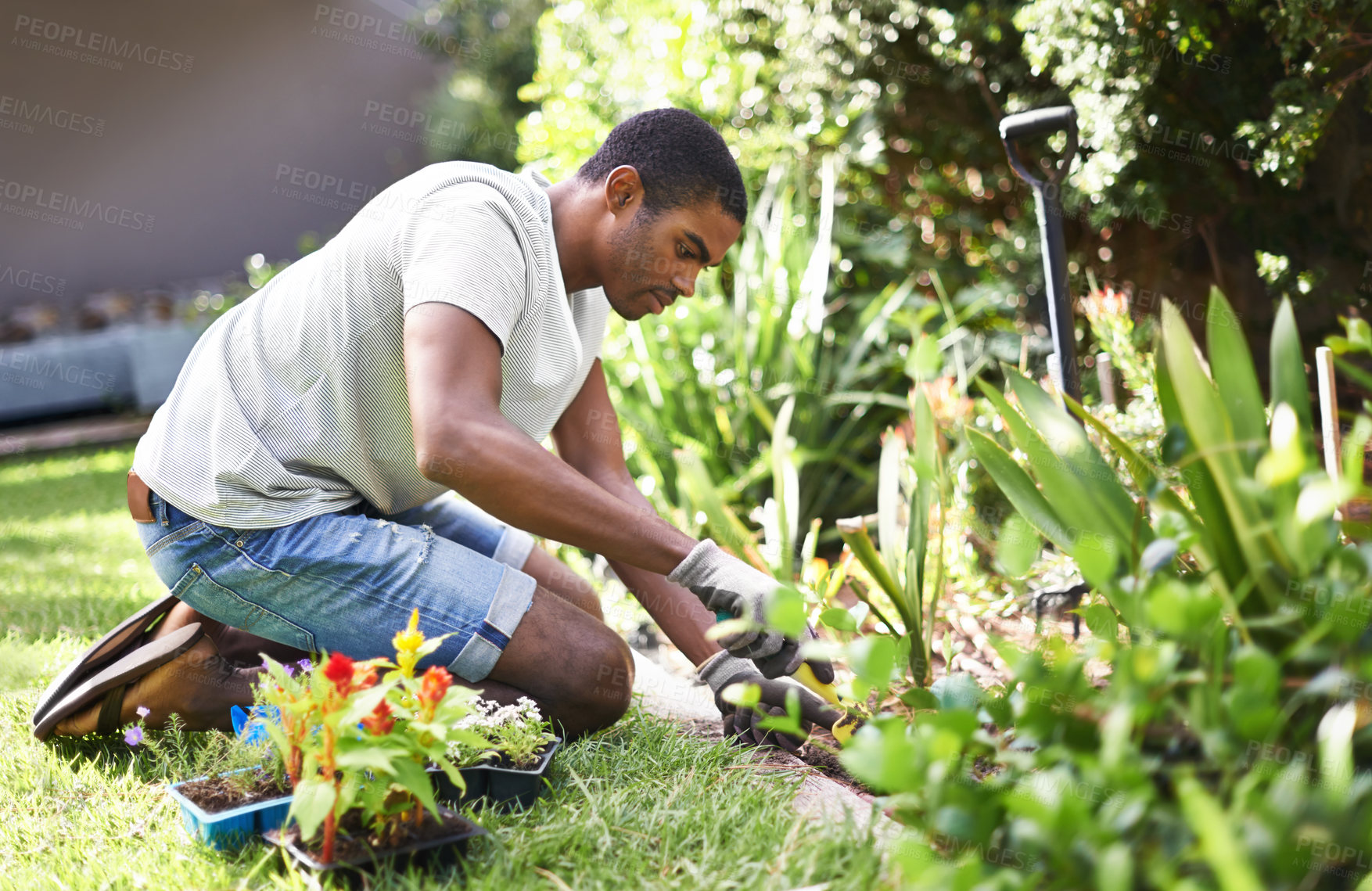 Buy stock photo Cropped shot of a handsome young man gardening