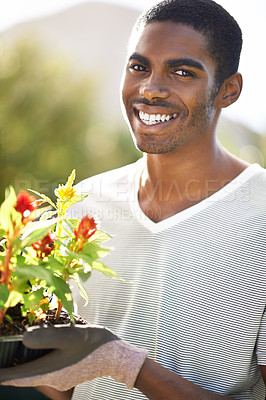 Buy stock photo Portrait, smile and planting flowers with black man in garden of home for summer landscaping. Face, nature and gardening with happy young person outdoor in backyard for growth or green cultivation