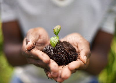 Buy stock photo Hands, sustainability and soil growth in nature for nature, environment development and dirt. Plant, growing and sustainable eco friendly work of a person with care, community for climate change 