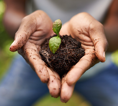 Buy stock photo Cropped shot of a growing plant in a man's hands