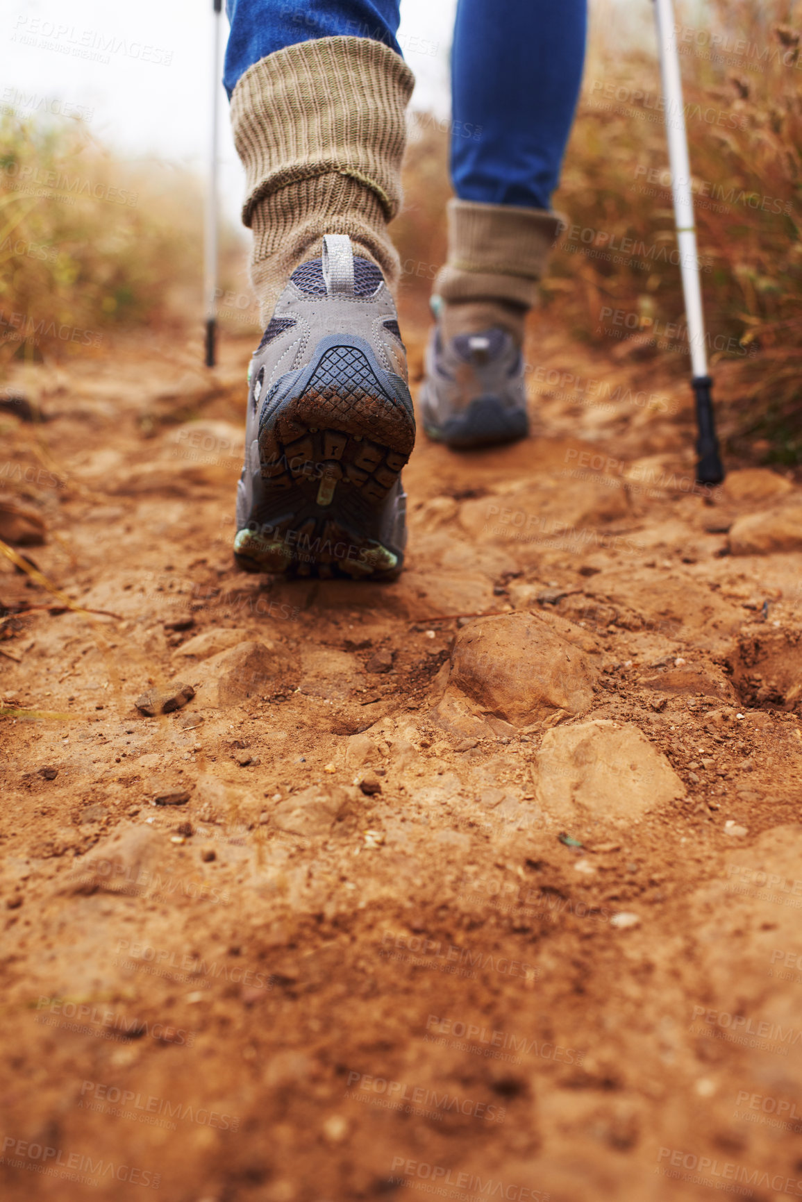 Buy stock photo Hiking, feet and walking with trekking pole in a bush path or forest trail for exercise, workout and fitness on winter morning. Adventure, person and hiker in nature with shoes on holiday and travel