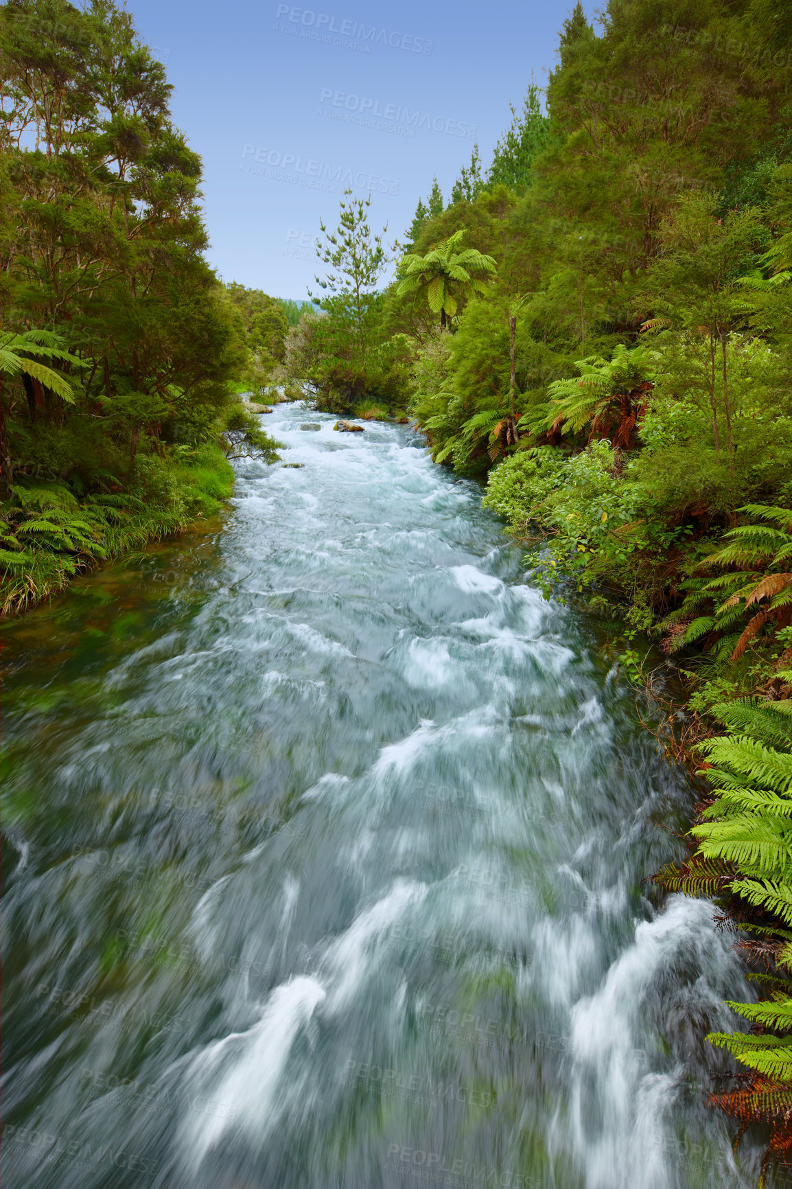 Buy stock photo Shot of a river flowing through a tropical forest
