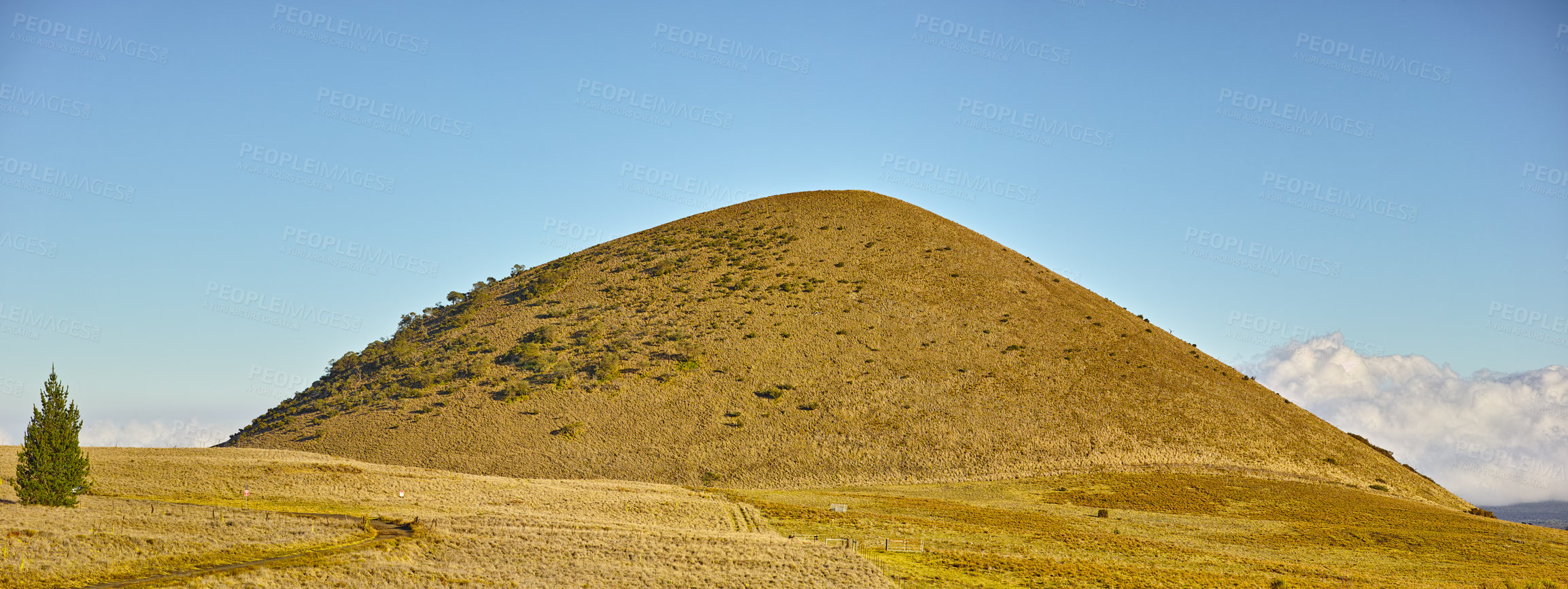 Buy stock photo Dry, field and landscape of environment with hill or grass on Volcano, Mount Kea and nature in Hawaii. Mountain, countryside and travel in summer to hillside with blue sky, clouds and tree in bush