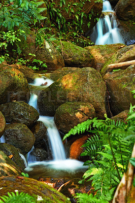 Buy stock photo Scenic, nature and waterfall in forest, water and earth in woodland environment. Plants, spring and landscape of peaceful jungle in Puerto Rico, greenery and outdoor rural area for natural ecosystem 