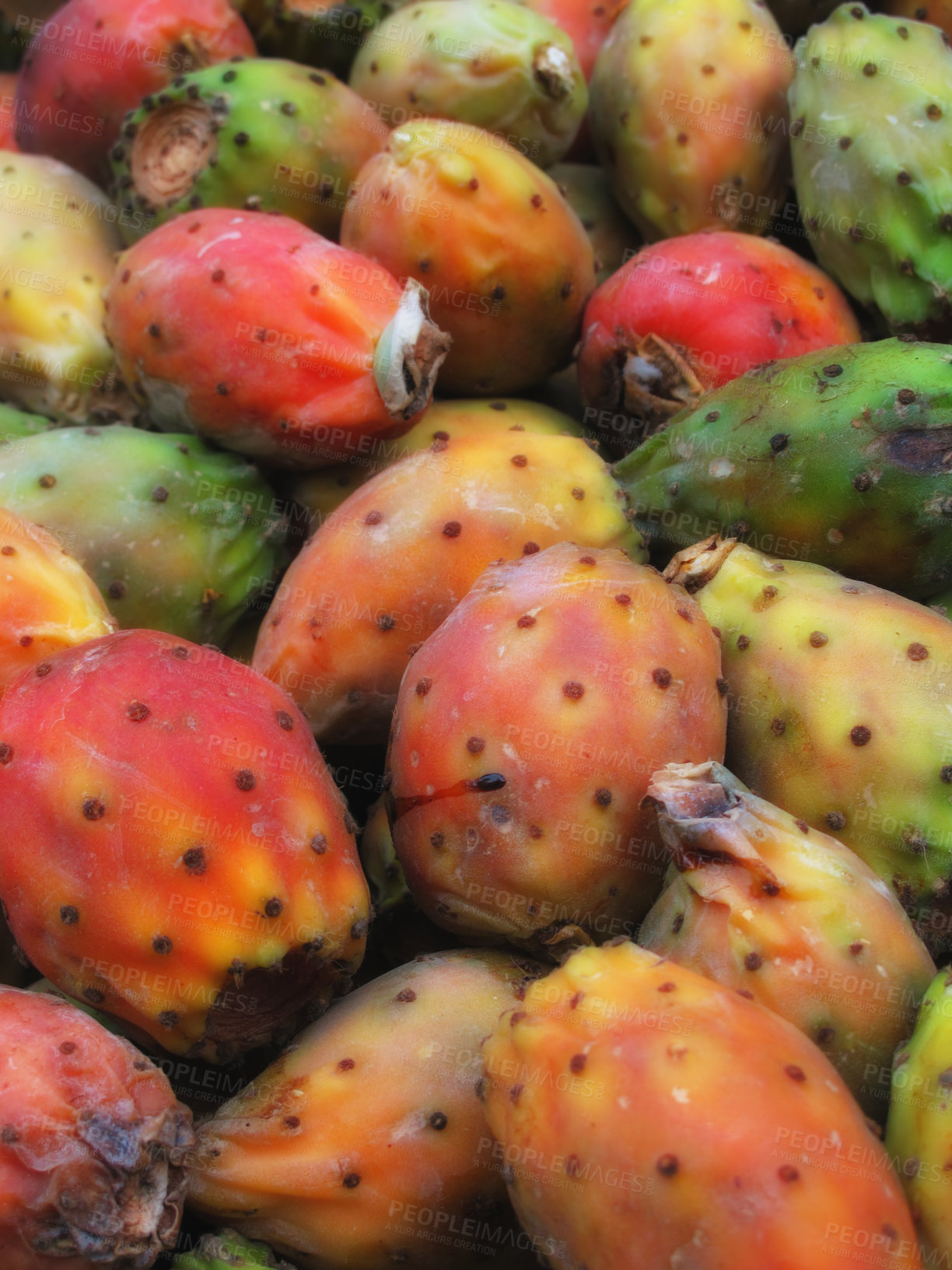 Buy stock photo A photo of Cactus fruits on a market