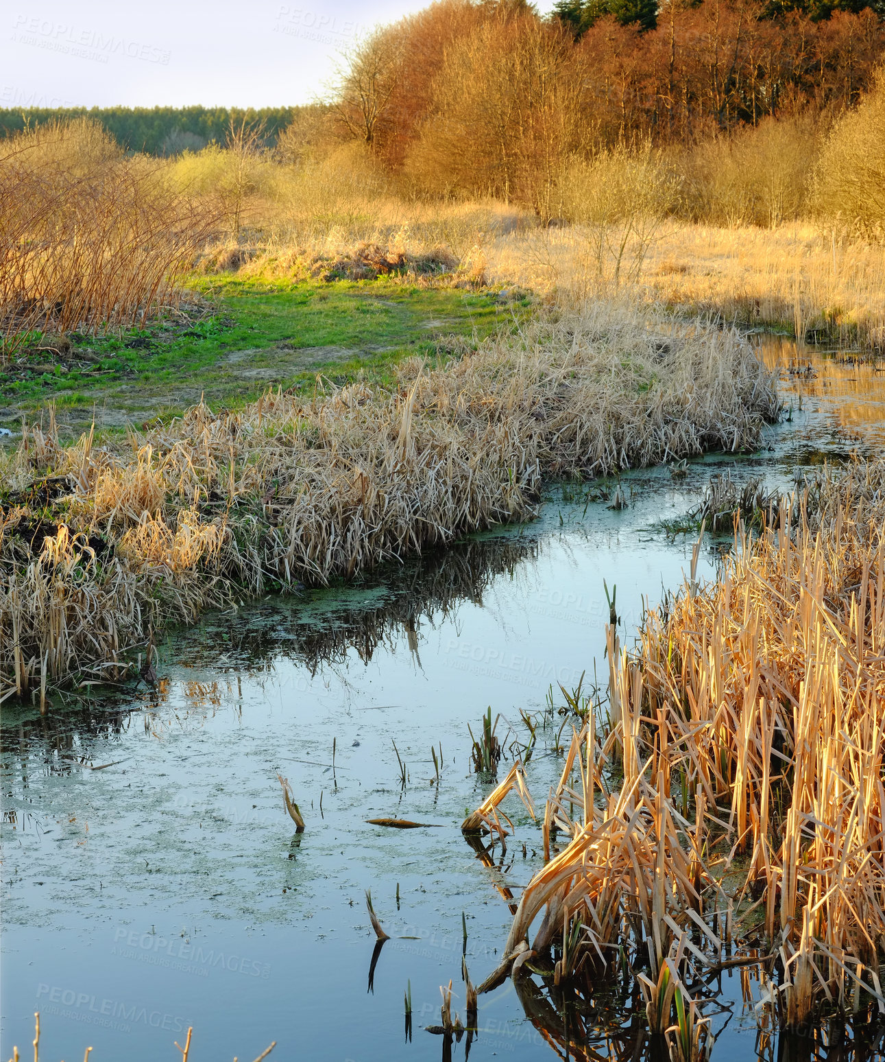 Buy stock photo Nature, meadow and river in field for environment, ecosystem and ecology outdoors. Natural background, landscape and aerial of water for scenic view, travel destination and terrain in countryside