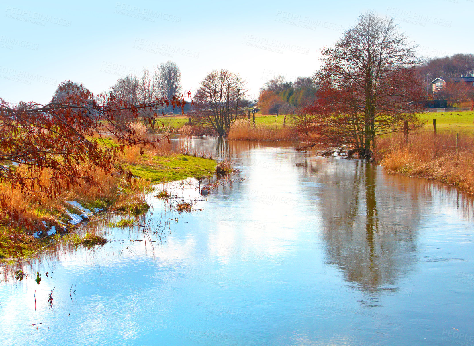 Buy stock photo Landscape, river and creek by field with trees, bush and environment in sunshine with green plants. Woods, nature and outdoor with growth, sustainability and ecology for swamp, water and countryside