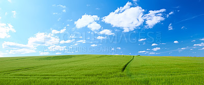Landscape photo - green field, clouds, and blue sky