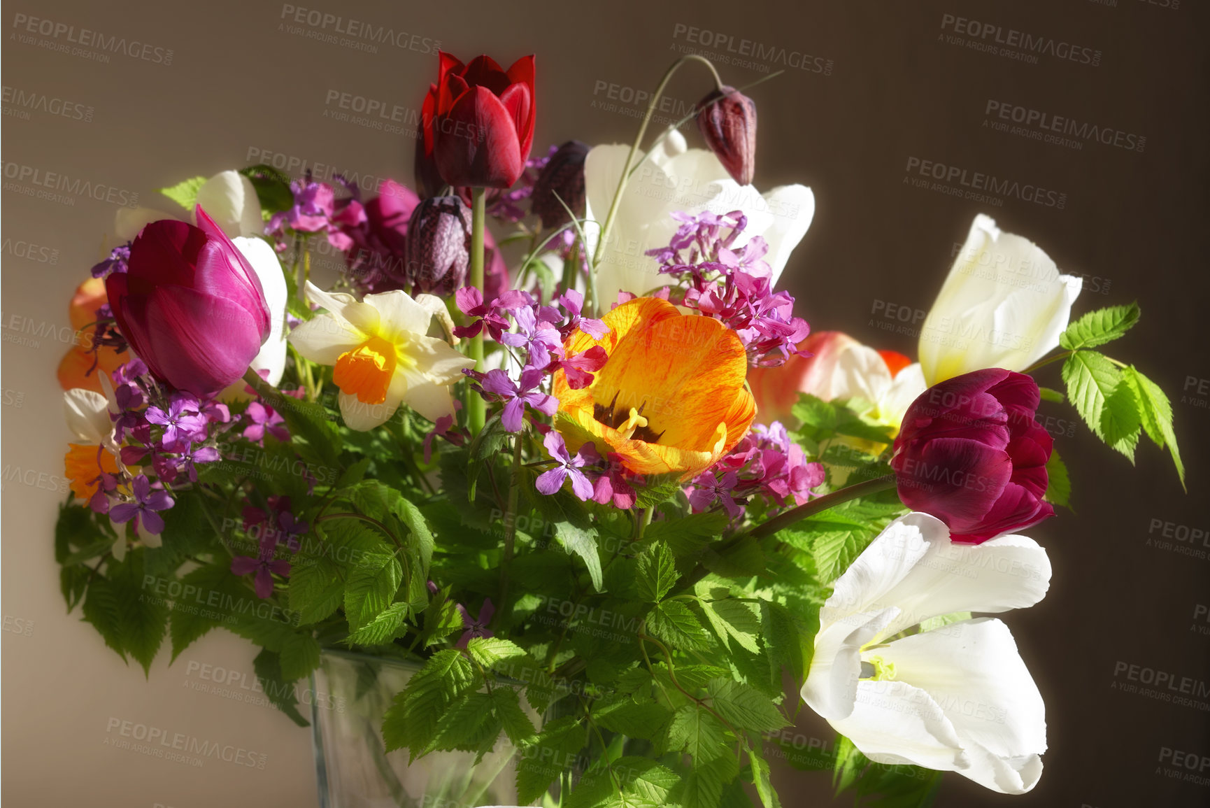 Buy stock photo Flowers, bouquet and spring plant in a vase in a home with green and colorful floral arrangement. Rose, petal and blossom from garden for a gift, present or giving in house with bloom and no people