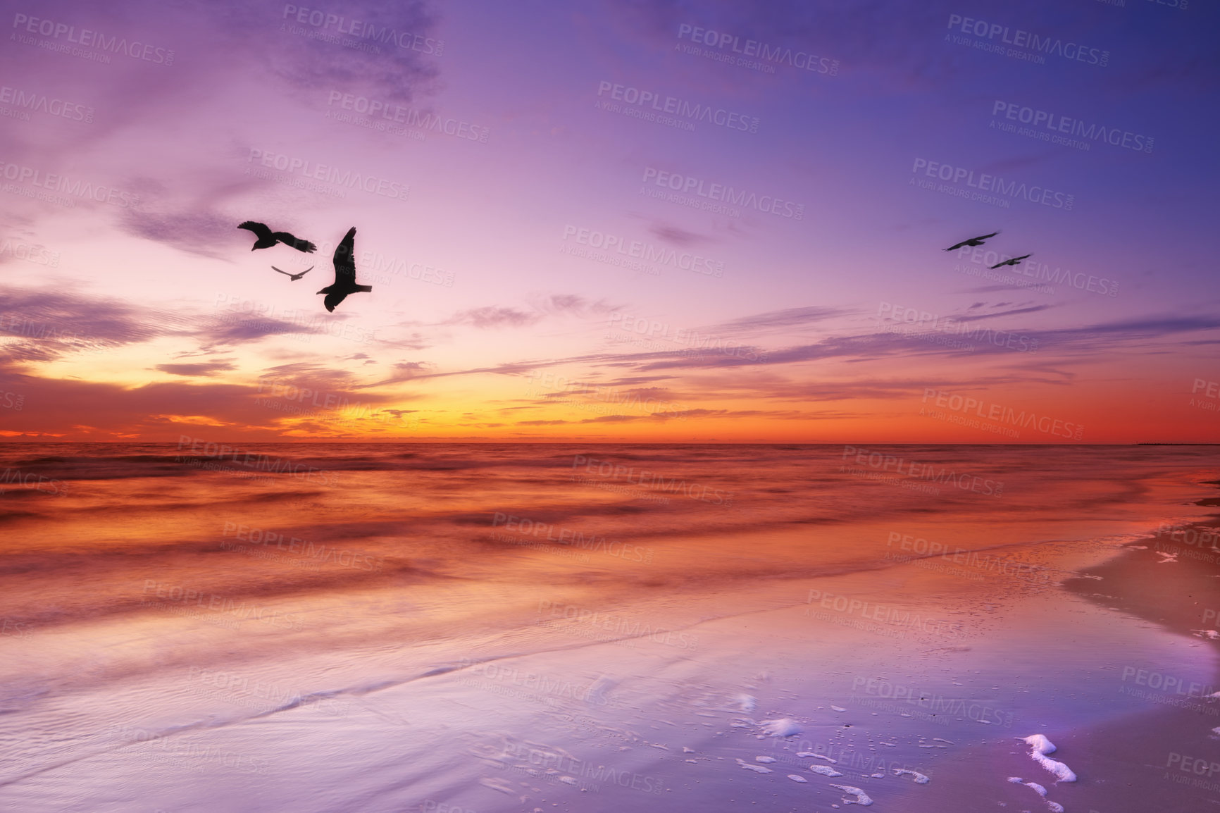 Buy stock photo A photo  of a bird and sunset in strange colors