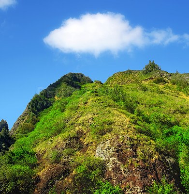 Buy stock photo Mountain, forest and natural landscape with blue sky, summer and calm clouds on peak at travel location. Nature, cliff and sustainable environment with earth, Hawaii and tropical holiday destination