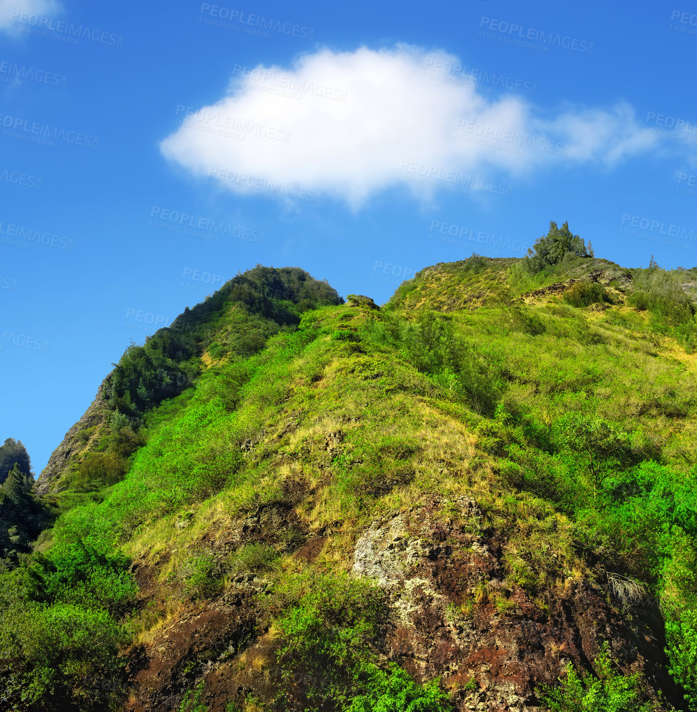 Buy stock photo Mountain, forest and natural landscape with blue sky, summer and calm clouds on peak at travel location. Nature, cliff and sustainable environment with earth, Hawaii and tropical holiday destination