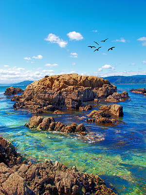 Buy stock photo A photo of the coast near Wellington, New Zealand