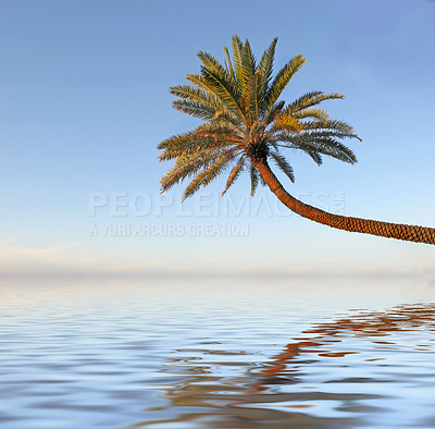 Buy stock photo Summer, resort and tree in nature of sea in location in environment, plant and water for tropical. Outdoor, Seoul and peace in beach, island and climate calm with coconut leaves and scenic