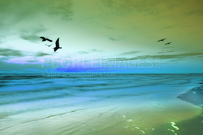 Buy stock photo Sunset, sky and birds by ocean on beach with scenery for travel, vacation or holiday destination. Seascape, dawn and avian flying by sea on tropical island in evening for summer weekend trip.