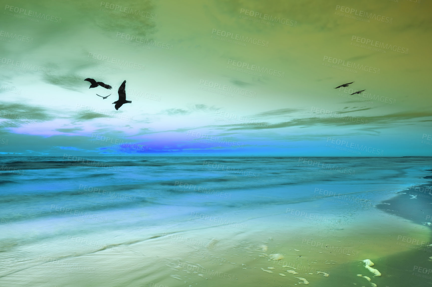 Buy stock photo Sunset, sky and birds by ocean on beach with scenery for travel, vacation or holiday destination. Seascape, dawn and avian flying by sea on tropical island in evening for summer weekend trip.