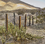 Anza-Borrego Desert, California [please include the above in the title]