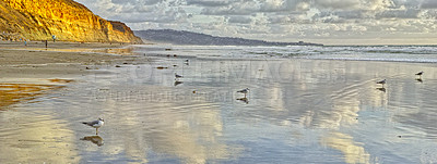 Buy stock photo Torrey Pines Beach, San Diego, Callifornia