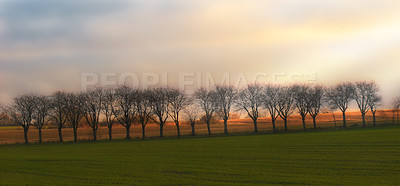 Buy stock photo A photo of farmland in autumn
