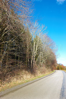 Buy stock photo Road, landscape and trees with blue sky in countryside for travel, adventure or roadtrip with forest in nature. Street, path or location in Amsterdam with journey, roadway and environment for tourism
