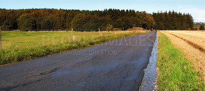 Buy stock photo Road, landscape and trees with field in countryside for travel, adventure and roadtrip with forest in nature. Street, path and location in Denmark with tarmac, roadway and environment for tourism