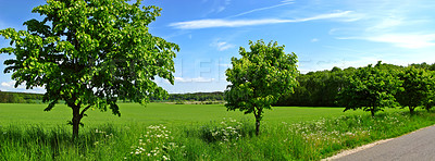Buy stock photo Country road in Denmark (in summertime)
