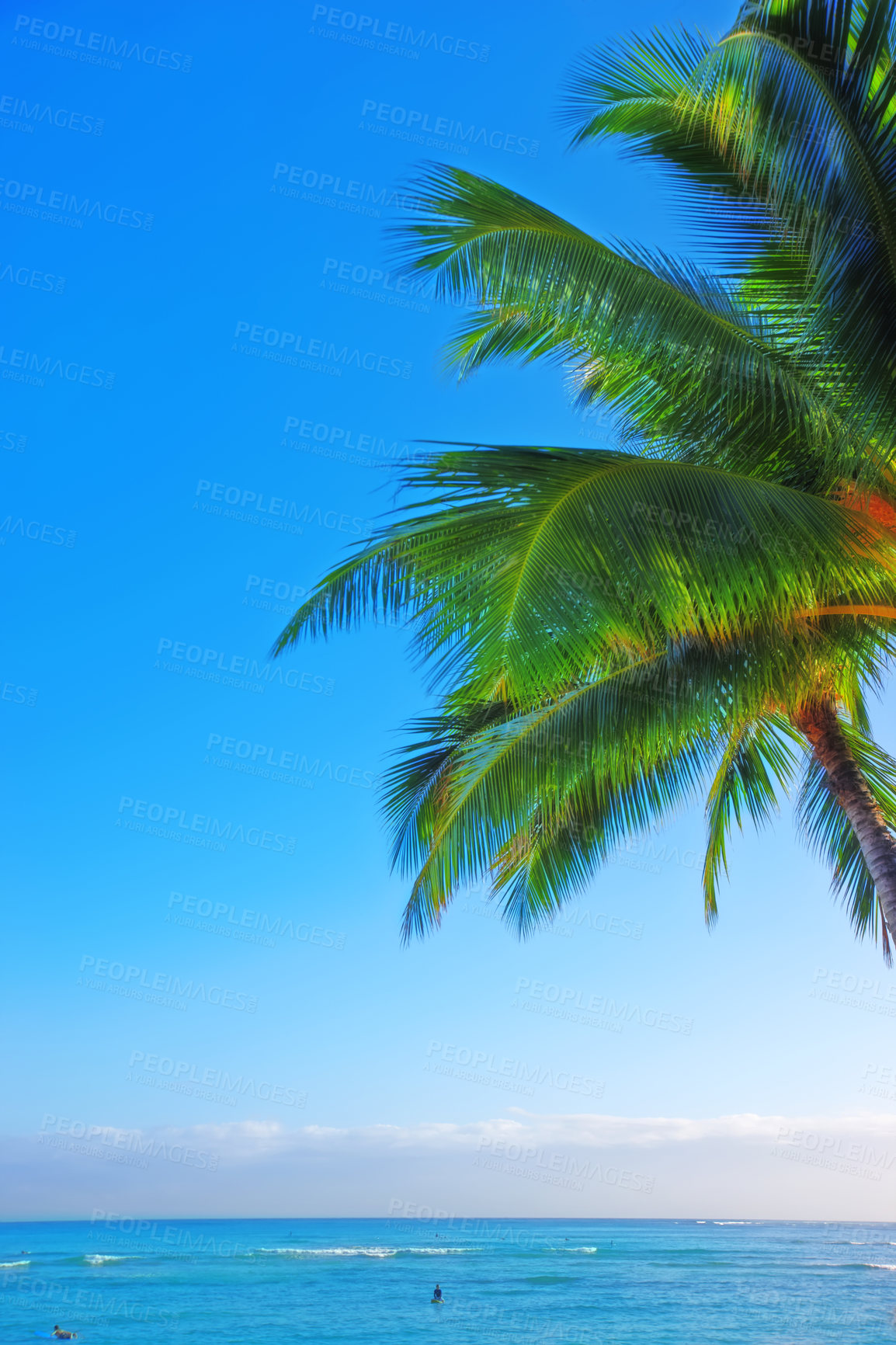 Buy stock photo Ocean, blue sky and landscape with beach and palm tree, travel and summer vacation outdoor in Hawaii. Environment, horizon and seaside location with tropical island destination and mockup space