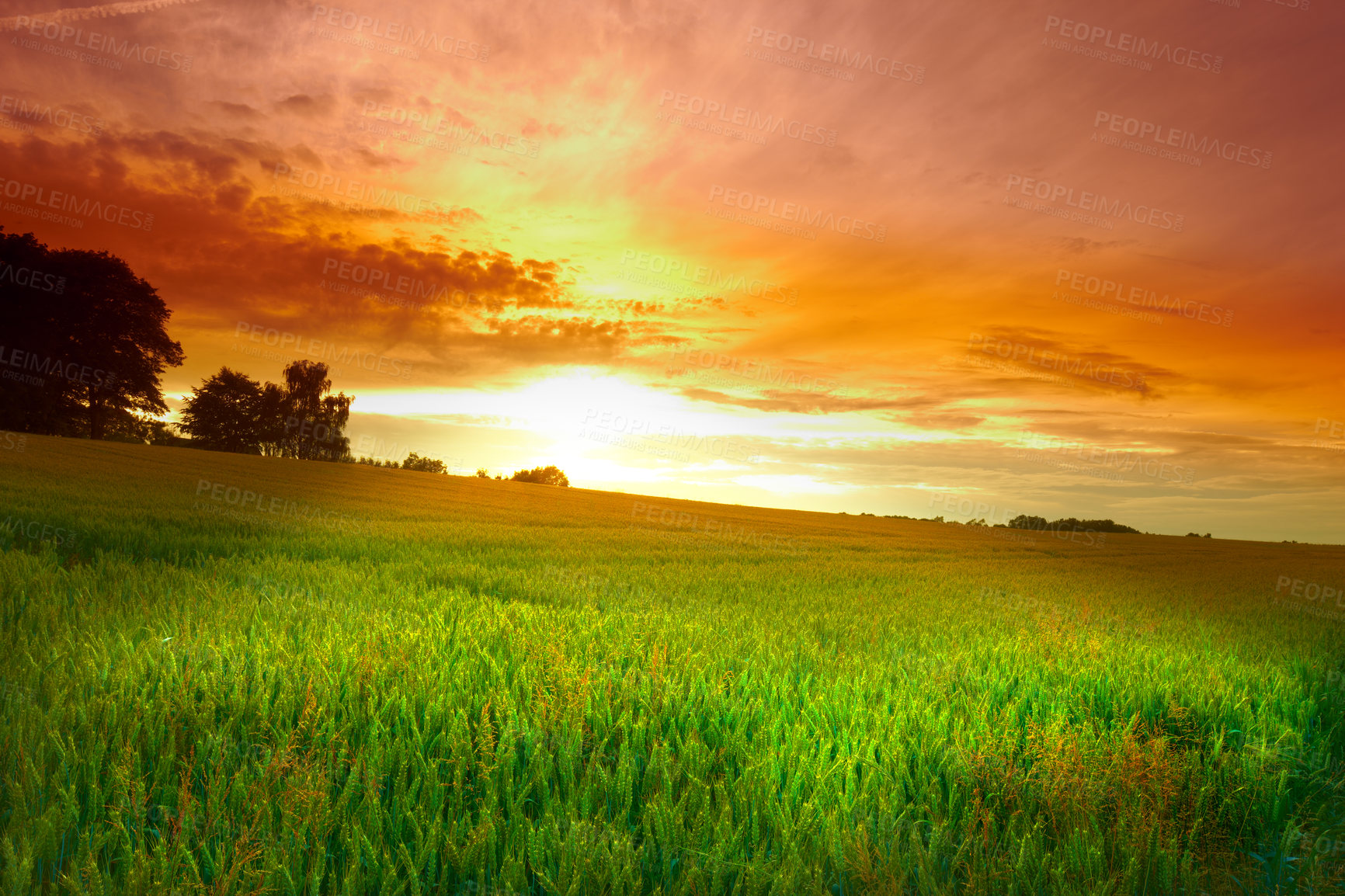 Buy stock photo Nature, clouds and field on a sunset background for environment, weather and season with mockup space. Green landscape of a park, meadow and grass or lawn for peace, zen and outdoor in orange light