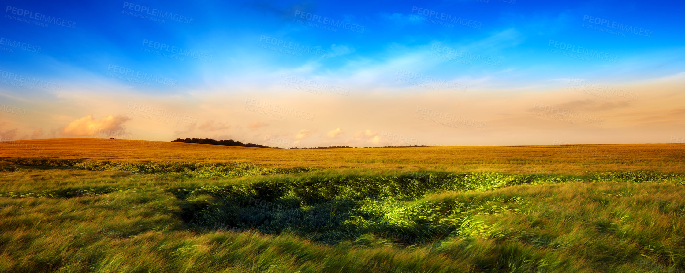 Buy stock photo Sky, field and landscape of countryside with meadow, agro farming or plant growth in nature. Background, travel and environment with horizon, green lawn or natural pasture for grass, crops or ecology