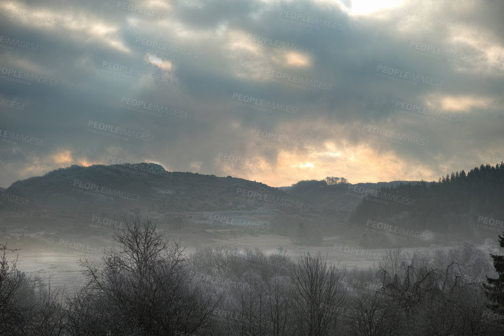 Buy stock photo Shot of a forest mountain under fog