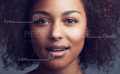 Buy stock photo Conceptual studio portrait of an attractive young woman with parts of her face labeled