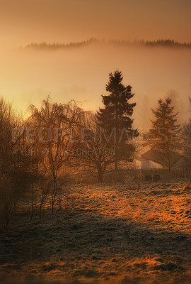 Buy stock photo Forest, autumn and sunrise with mist in countryside environment with tree nature, spring or grassland. Woods, fog and meadow in England for rural farmland harvesting or dusk haze, outdoor or plants
