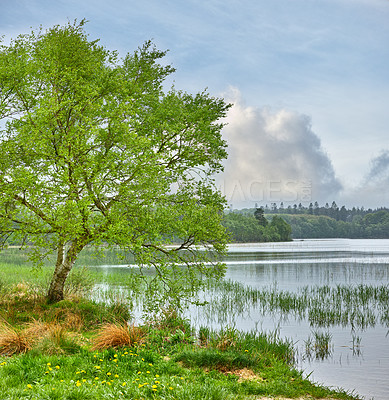 Buy stock photo Forest, river and trees with nature, summer and earth day with sky and environment with sunshine. Empty, leaves and soil with countryside and landscape with lake and woods with season and ecology