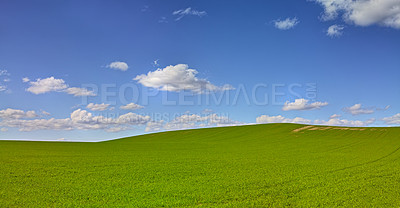 Buy stock photo Horizon, clouds and blue sky at countryside with space, sustainability and nature in summer. Environment, beauty and field with grass for eco friendly, growth and landscape of earth with lawn