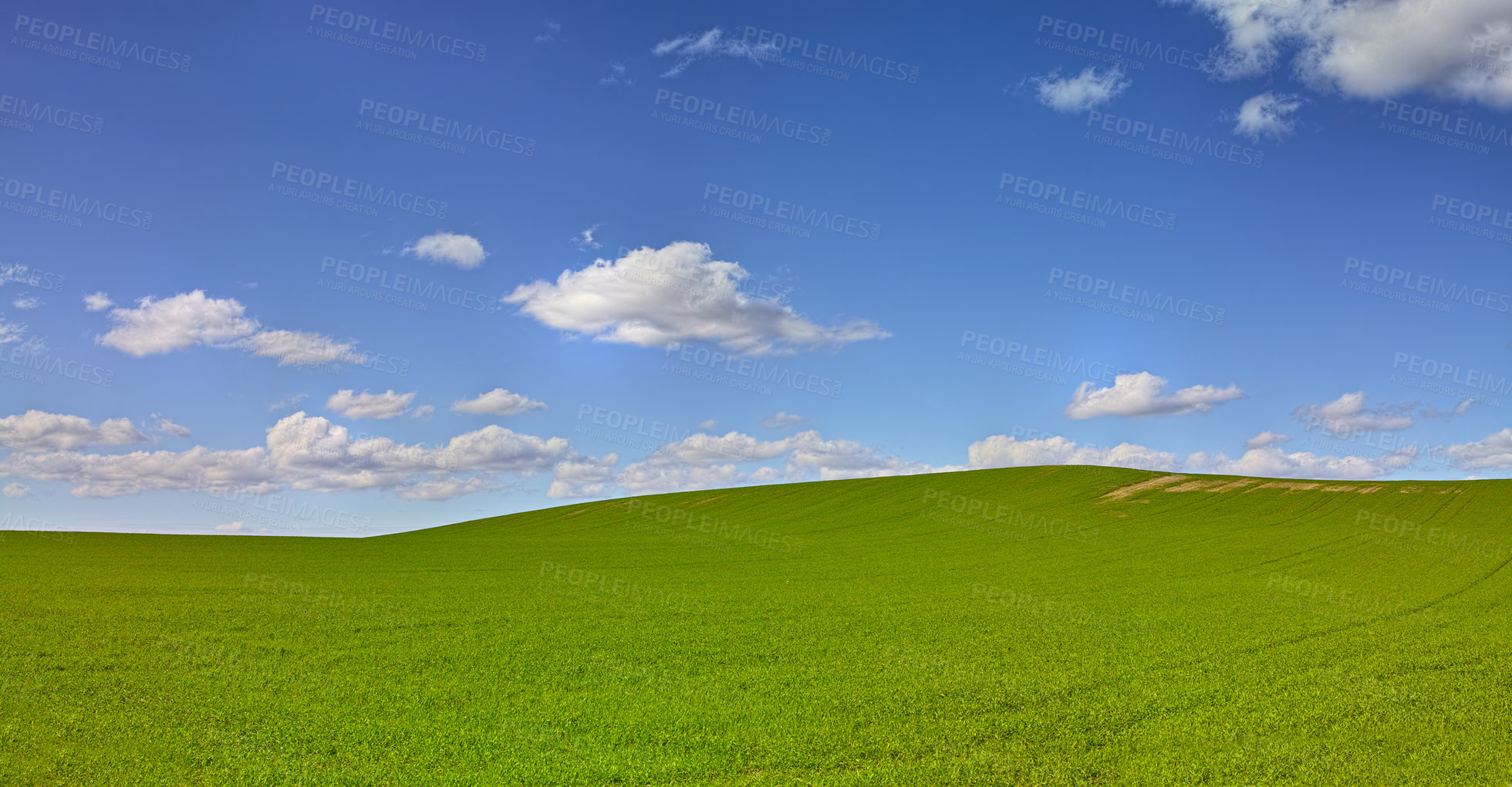 Buy stock photo Horizon, clouds and blue sky at countryside with space, sustainability and nature in summer. Environment, beauty and field with grass for eco friendly, growth and landscape of earth with lawn