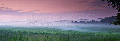 Buy stock photo Flower, field and fog in nature environment or sunset sky in countryside or travel location, grassland or outdoor. Land, mist and cloud in England forest or cold weather in meadow, plants or panorama