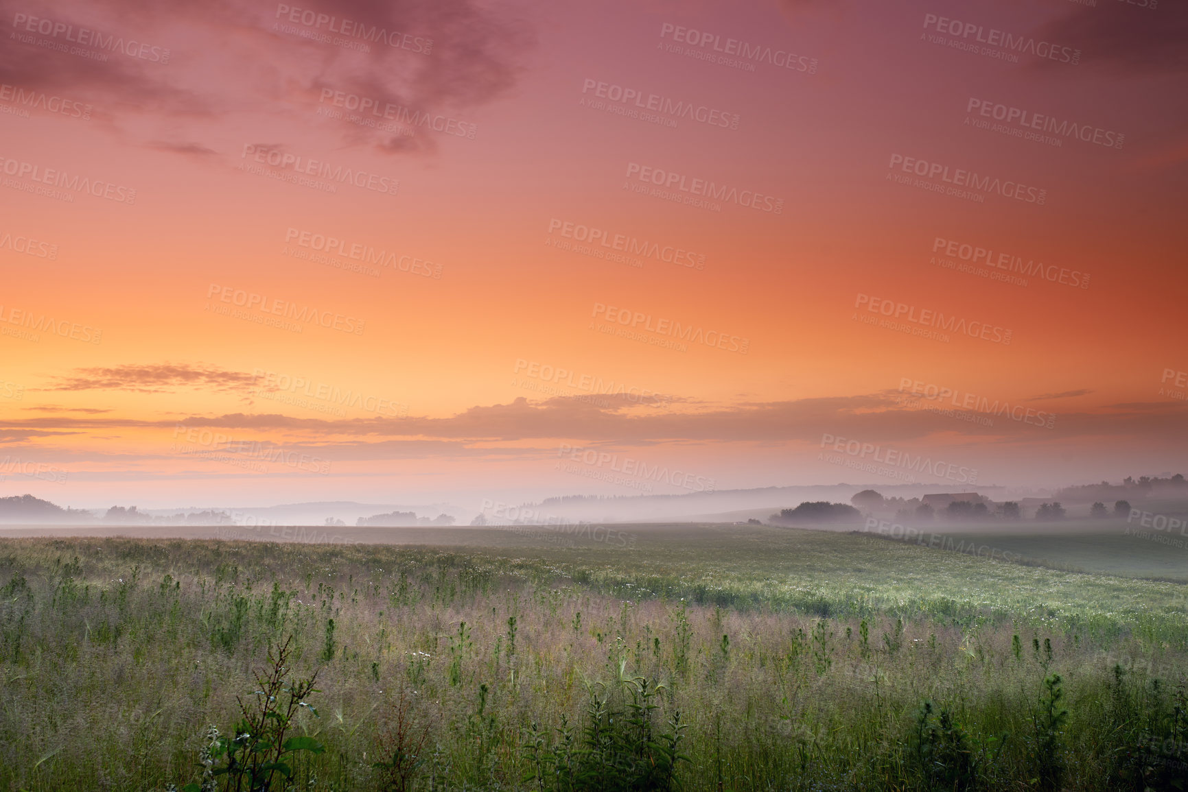 Buy stock photo Sunset, nature and green field with mist on mountain, peace and plants in countryside in sustainable environment. Outdoor, travel and landscape of meadow in denmark and hiking destination for tourist