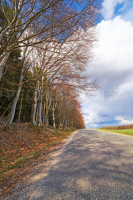 Buy stock photo Forest, road trip and natural landscape with trees, holiday or green scenery in countryside. Nature, woods and highway on journey, vacation or outdoor adventure on blue sky, clouds and autumn leaves.