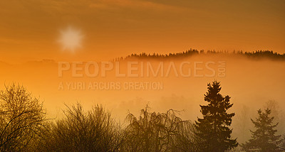 Buy stock photo Tree, forest and mountain mist as landscape for countryside growth at sunset as panorama, environment or nature. Woods, fog and hill with sunlight in summer for travel adventure, outdoor or horizon