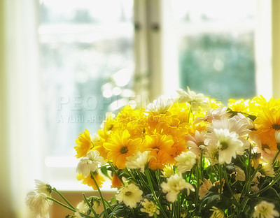 Buy stock photo Bouquet, flower and vase with daisy, spring and plants in a home for gift or present from garden. Window. floral and blossom decoration for the house in a living room with yellow bloom arrangement