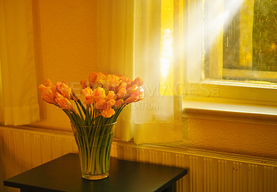 Buy stock photo Gorgeous bouquet of fresh tulips flowers on a table in empty house. Fresh summer oranges flowers symbolising hope, love and growth. Bright flowers as a surprise gift or apology gesture 
