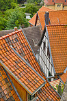 Village rooftops